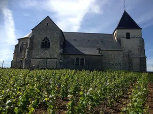Image of cottage in the middle of Champagne vineyards