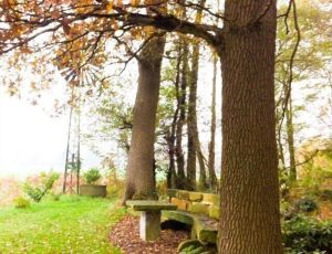 Image of Spacious half-timbered house with garden in quiet position close to the forrest