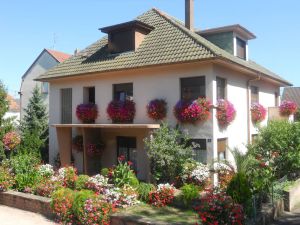 Image of Comfortable apartment house in central Alsace
