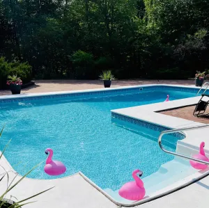 Image of 2 Acre Home With Private Hot Tub • Tennis court • Patio • Pool open in June