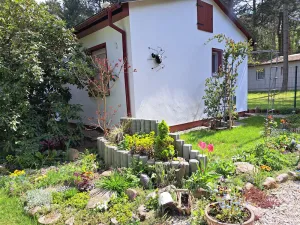Image of gemütlicher Bungalow am Rand der Dübener Heide