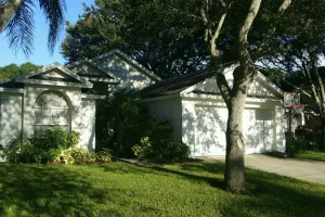 Image of Entire home in Palm Harbor that’s quiet & cozy.