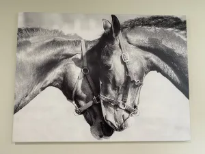 Image of The Horse Lover
