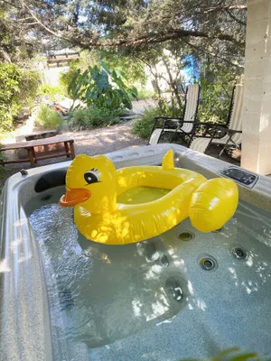 Image of Relax@Artist's Secret Garden, KOI pond & CoolWater Jacuzzi-home gr8 4 big groups