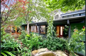Image of The Black Cockatoo - Secret Garden Treetops Home