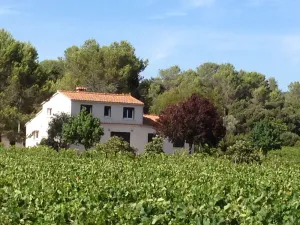 Image of HOUSE LOUBIERE (STUDIO, T2 and T4)