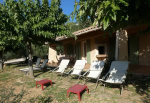 Image of Sanary-sur-Mer, house on family property, within olive trees, near sea
