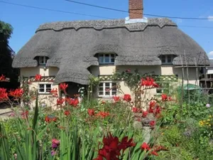 Image of The Stable