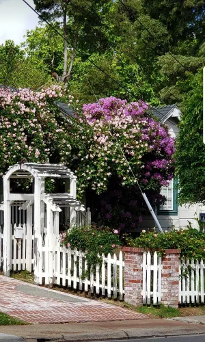 Image of San Francisco Suburb French farmhouse - great location