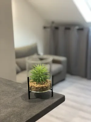 Image of Large spacious studio close to all amenities!