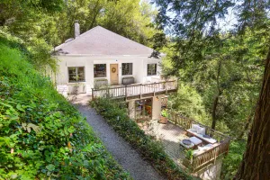 Image of Serene Mill Valley Gem in the Redwoods