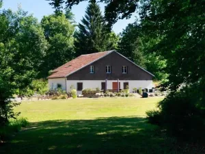 Image of Luxury Vosgian Farmhouse: Sauna, Jacuzzi, Games, Spacious Terrace, Pet-Friendly, Sleeps 16