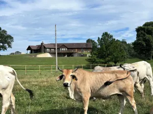 Image of Beautiful Ranch House within 15 minutes of the Illinois river, and much more!