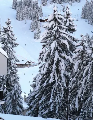 Image of Ski Studio Apartment In Flaine Foret, Near Shops, Restaurants And Activities