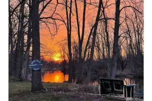 Image of Canalside Tranquility