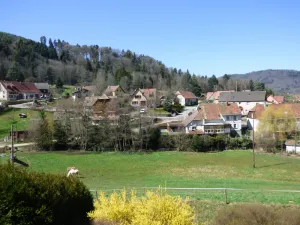 Image of Cosy country cottage with mountain views, Wi-Fi, log burner, workspace, pets