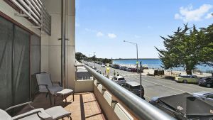 Image of Cetacea - Point Lonsdale