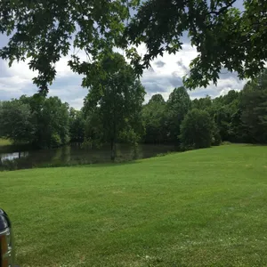 Image of HB1 at Spring Haven Farm
