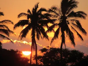 Image of Kepuhi Beach Resort #1182