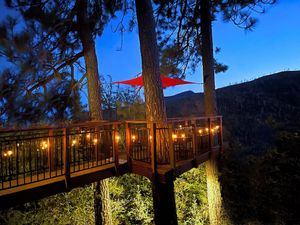 Image of Luxurious TREE HOUSE: SPA, LAKE & MOUNTAIN VIEW,1-Acre, Observatory