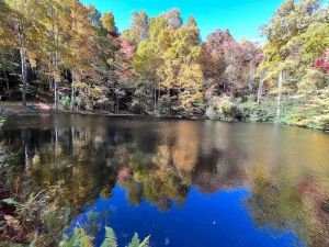 Image of 100 mile view, 2.5 miles to downtown Blowing Rock.