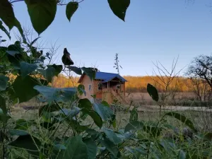 Image of Creekside cottage