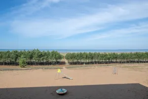 Image of Appartement face mer et aux pins
