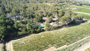 Image of Unique view of Caesar's camp & vineyards - 2 Mazets on a hill -