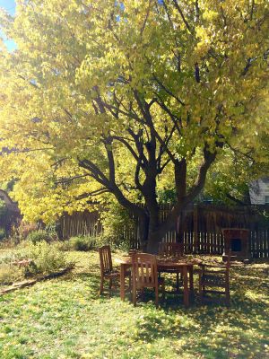 Image of Urban Homestead ~ House Downtown Durango *Sanitized & High Speed Wi-Fi*