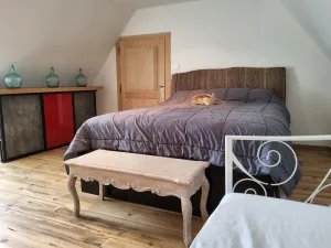 Image of Beautifully renovated historic home perfect for relaxing
