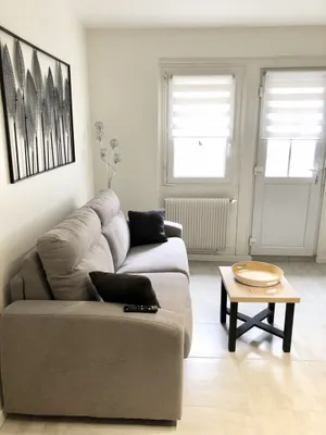 Image of Spacious apartment with small courtyard in city center