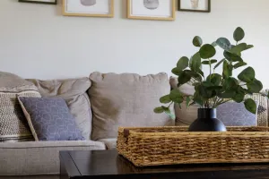 Image of Wild Joy|Cozy 3BR, King Bed + Pet-Friendly Yard