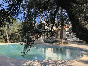 Image of Villa surrounded by nature, cicadas and pine trees