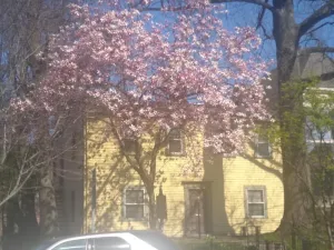 Image of Historic Clayton-Bullock Schoolhouse Near Downtown Cincinnati!!