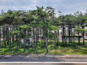 Image of Le Touquet, Ap 67 m2, 2 Chambres, Secteur Quentovic, 5 min Plage et Centre