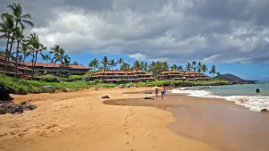 Image of Whales, Beaches and Sunsets! Come enjoy Maui's most exclusive resorts.