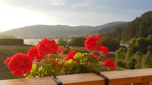 Image of Apartment with lake view in residence