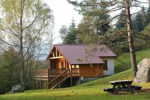 Image of Superbe chalet traditionnel en lisière de forêt à La Bresse, rénové, calme