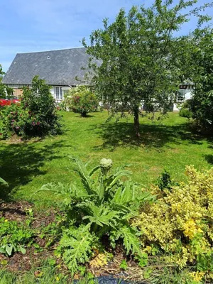 Image of Entre Ferme et Mer - Ancretteville SUR MER