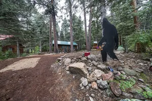 Image of Rustic Cozy Cabin at the base of Greenhorn Mountian
