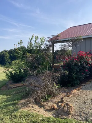 Image of One room cabin set on our farm for a peaceful getaway.