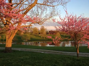 Image of Classic Kentucky Farm:  Bluegrass - Bourbon - PGA -Firepit-Horse Country-WiFi