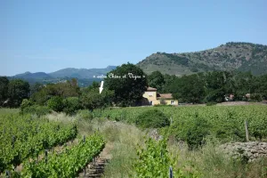 Image of \"Between Oaks and Vines, between river and Aubenas