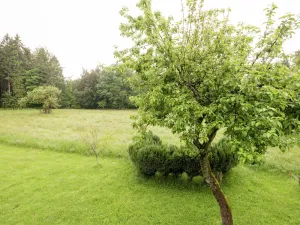 Image of Sunny Holiday Home in Stavelot