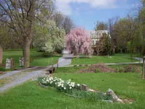 Image of Newly renovated historic farmhouse with all modern amenities, meals available.