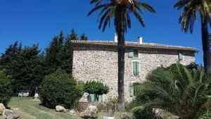 Image of Paul a 12 km de la mer