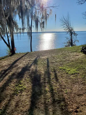 Image of Private lake front home with gorgeous views. Pet Friendly.