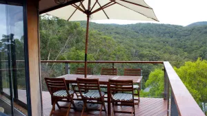 Image of Koala View