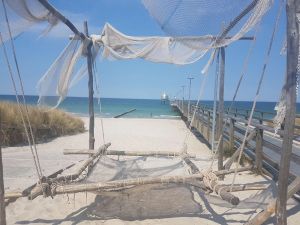 Image of Barth-Tor-zum-Darss-Zingst-B