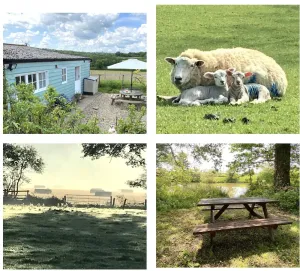 Image of Rural Retreat in Idyllic Countryside - fishing & walks